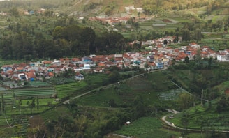 A small village with clustered houses, primarily featuring red-tiled roofs, is nestled within a lush, green landscape. Surrounding the village are terraced fields, trees, and patches of vegetation, suggesting agricultural activity. The scene is set on a hillside, providing an elevated view of the village and the surrounding natural environment.