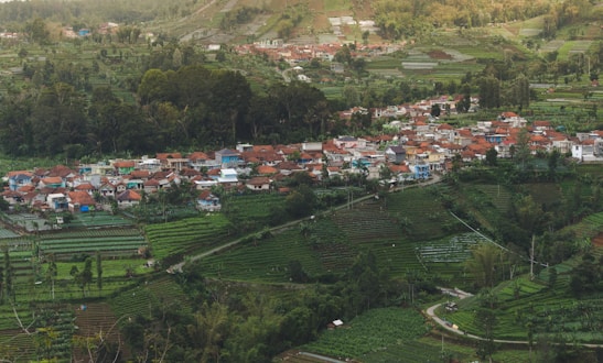 A small village with clustered houses, primarily featuring red-tiled roofs, is nestled within a lush, green landscape. Surrounding the village are terraced fields, trees, and patches of vegetation, suggesting agricultural activity. The scene is set on a hillside, providing an elevated view of the village and the surrounding natural environment.