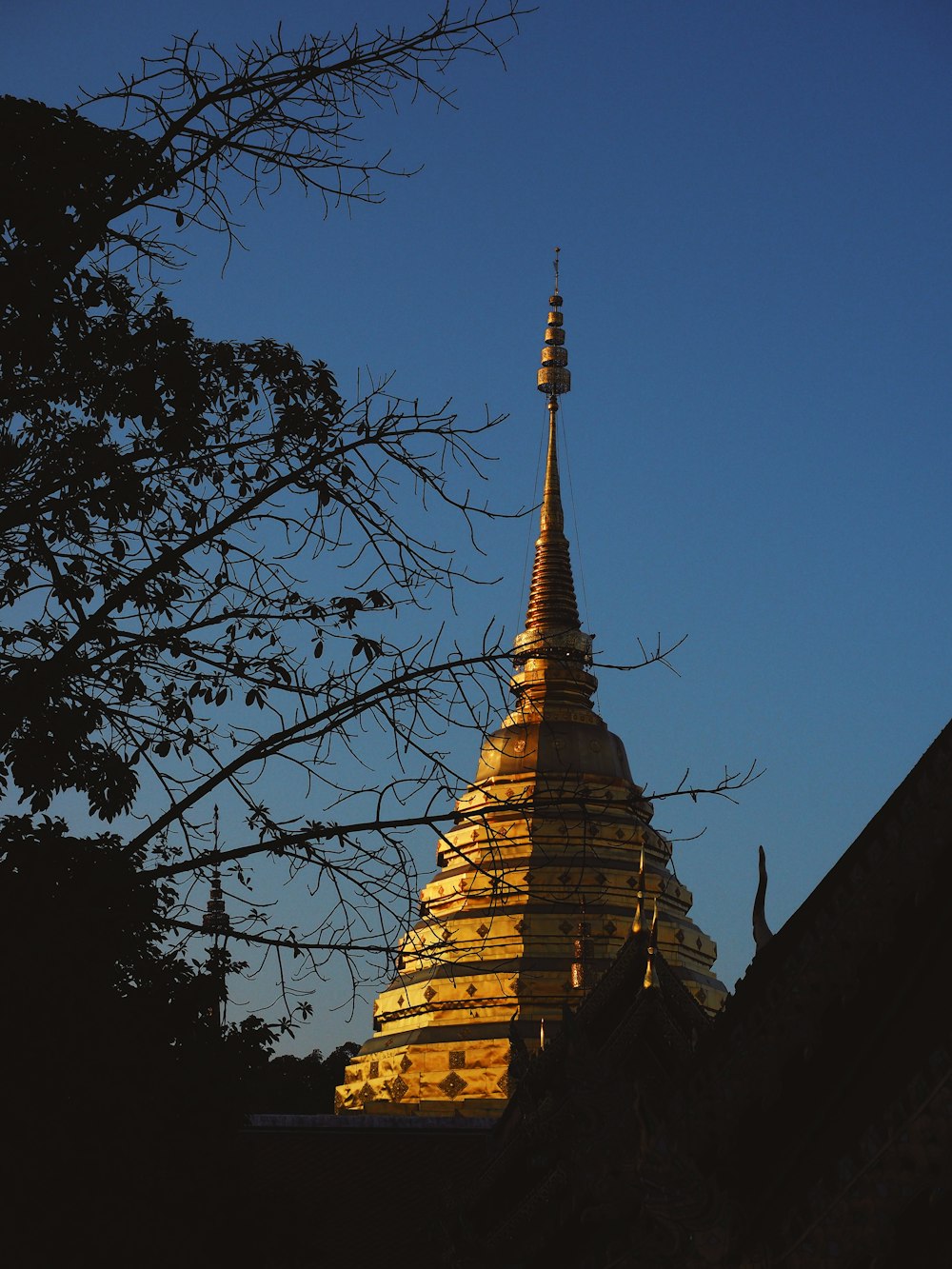 architectural photography of brown tower