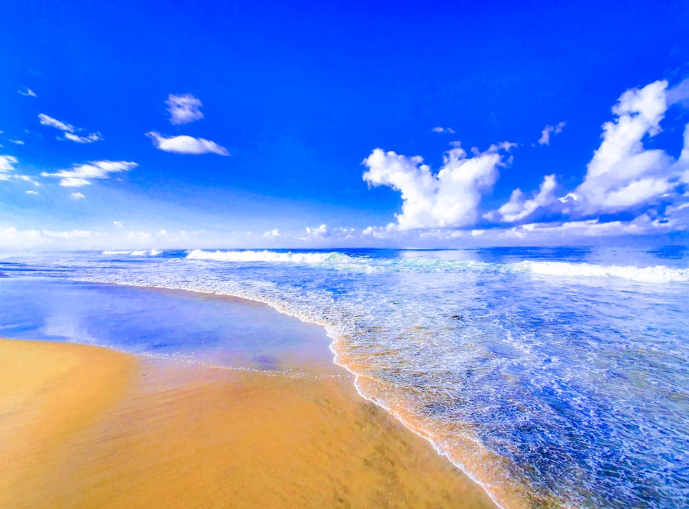 landscape photography of beach coast