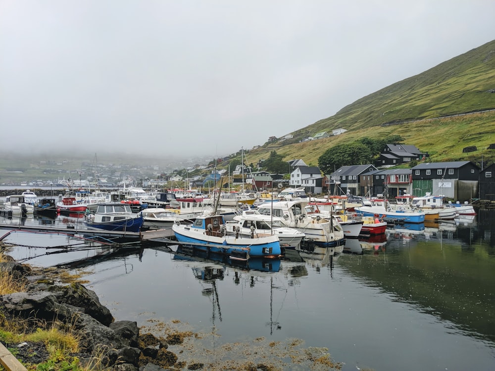 docked boats