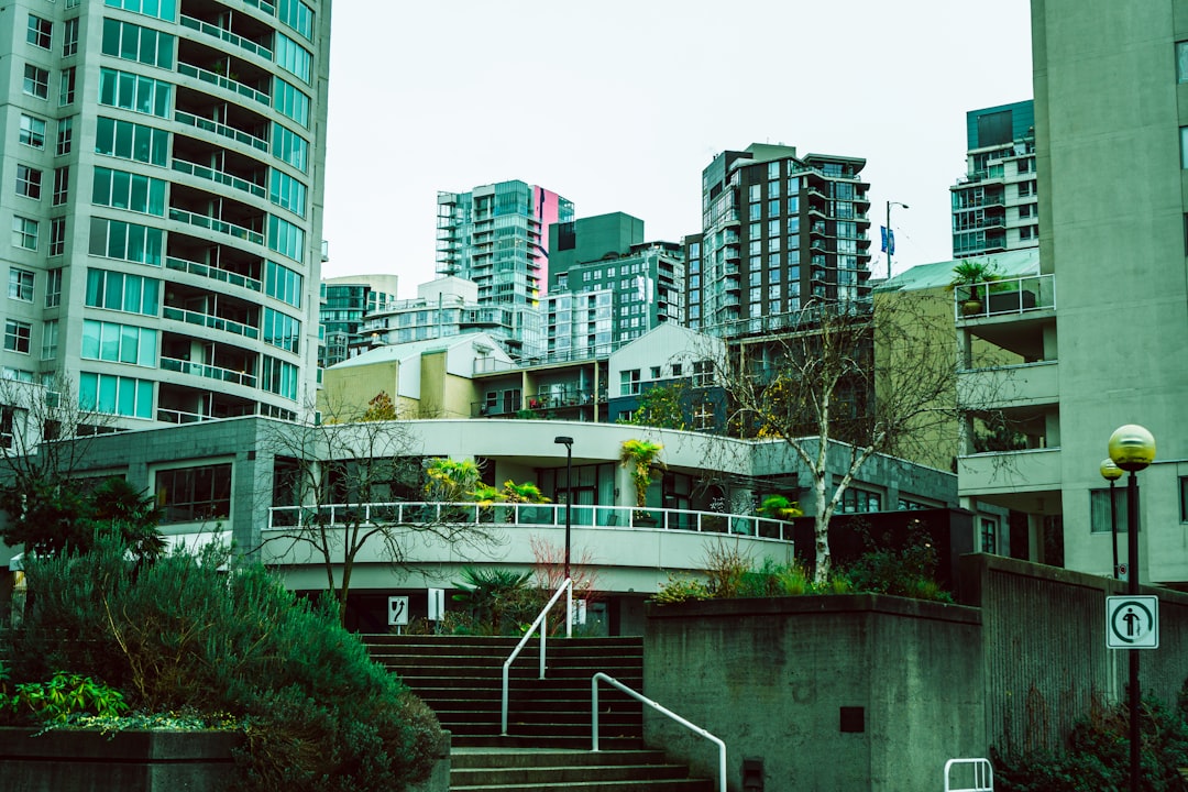 white and gray city buildings