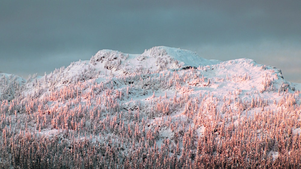 mountain covered with snow