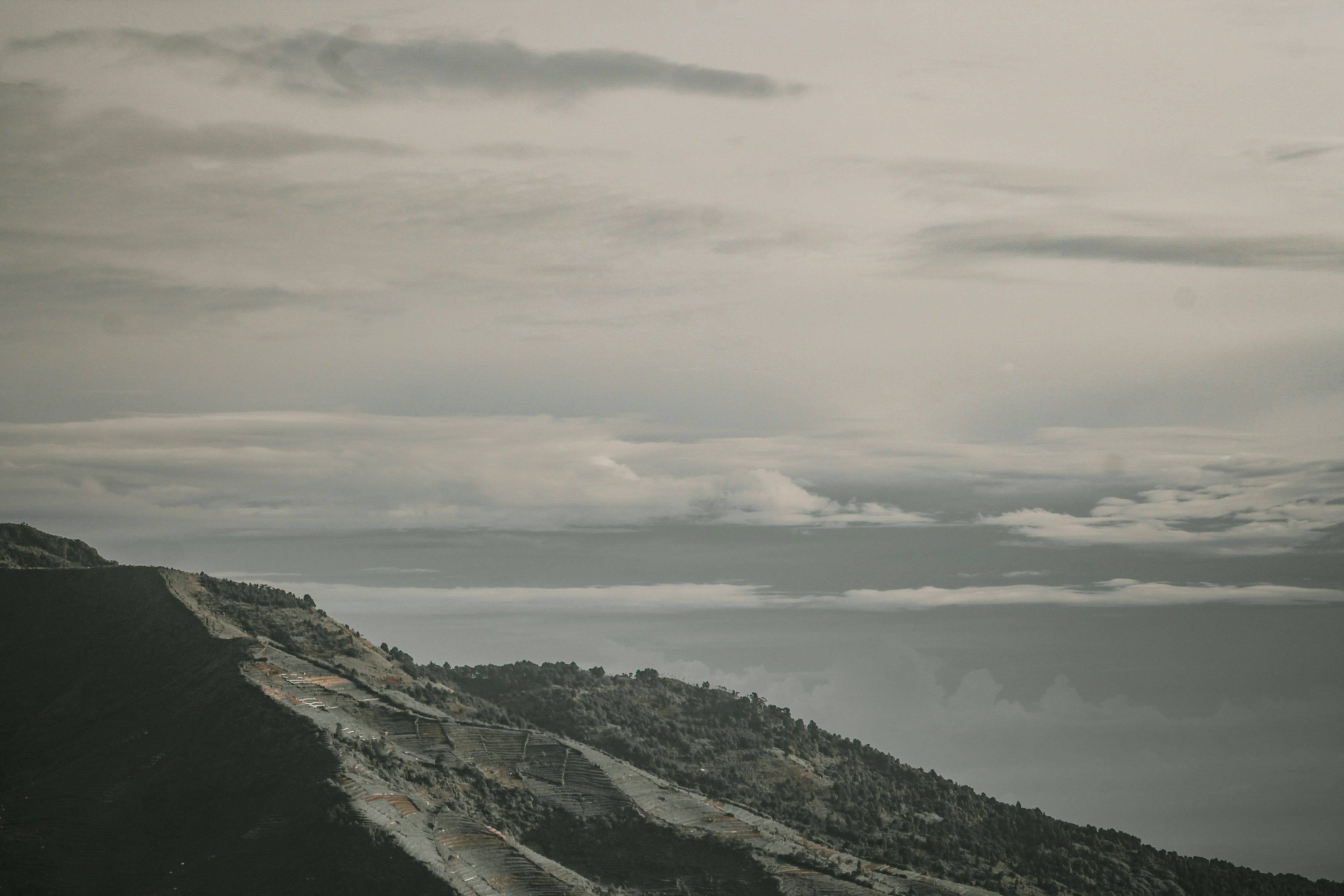 Photo by cinnamonroll