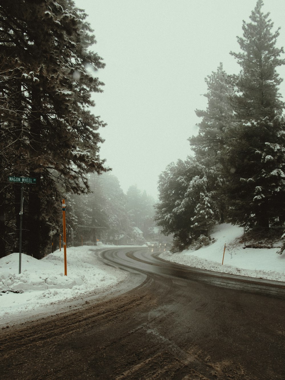 road in between trees covered with snow