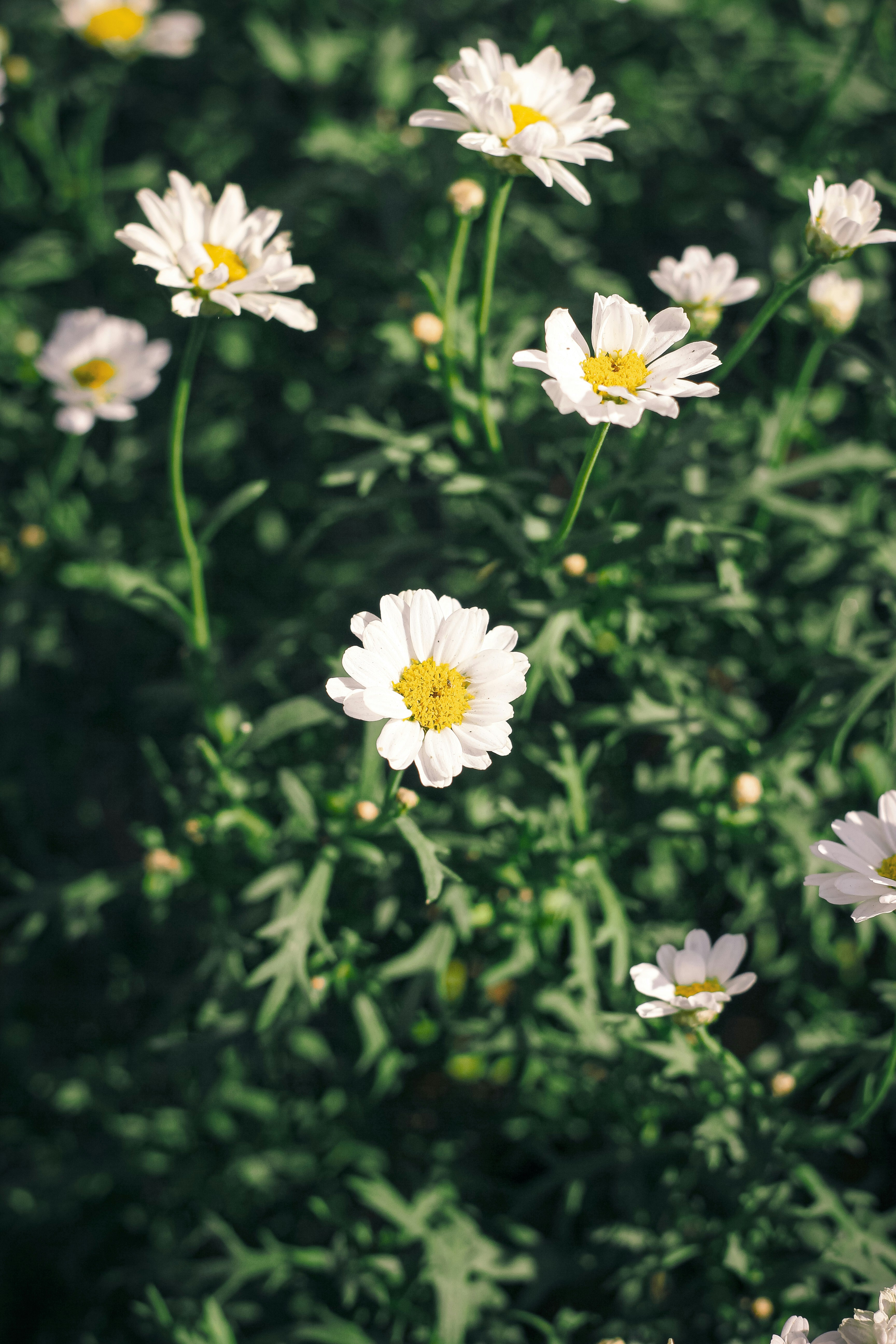 Photo by xiaowuuuuuuu