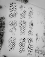 An aerial view of a large number of boats covered in snow, arranged in organized rows in an open area. The image portrays a wintery scene with snow blanketing the ground and boats. Sparse vegetation can be seen at the edges, and there appear to be tracks or tire marks in the snow, suggesting vehicle movement.