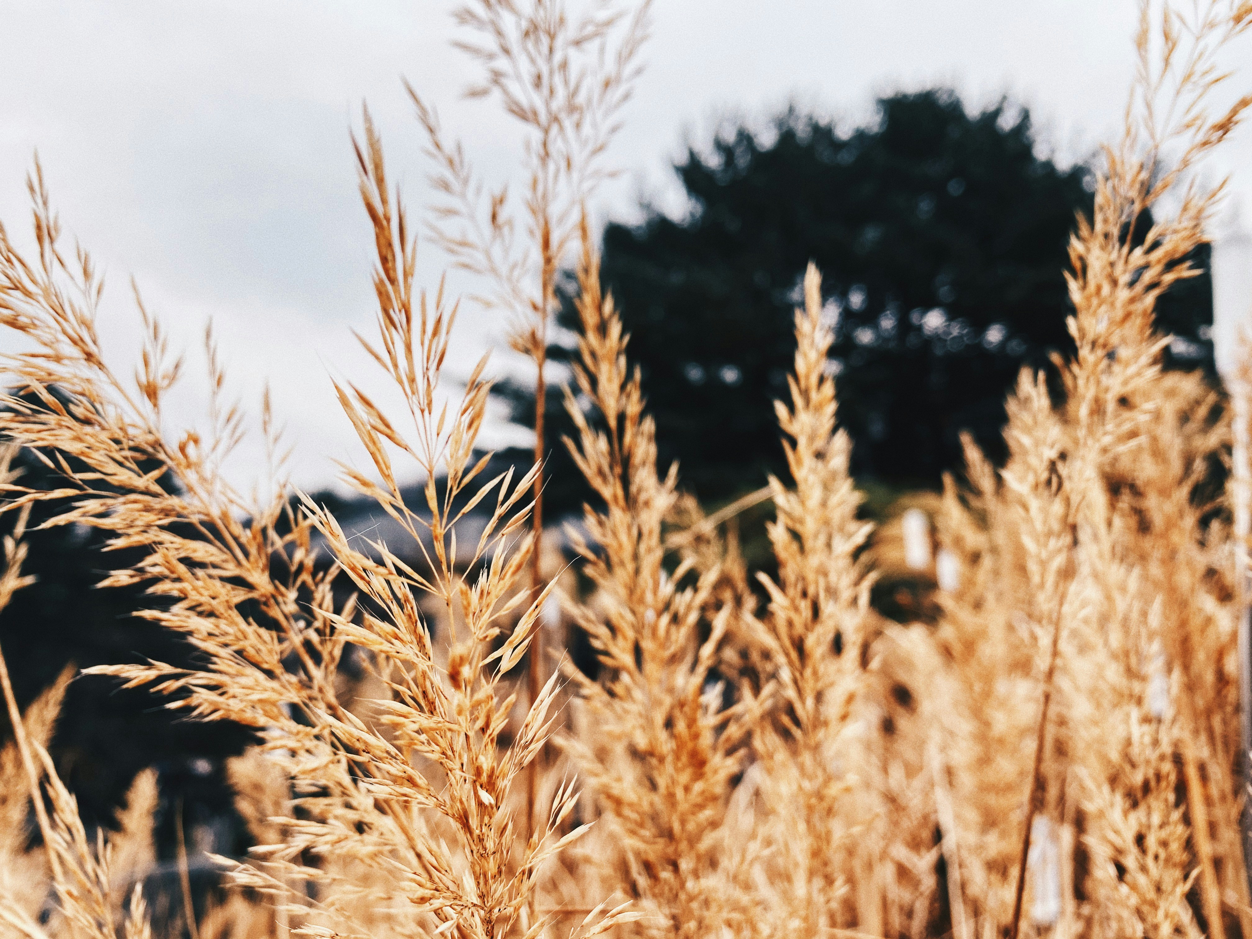 Photo by leannk_official