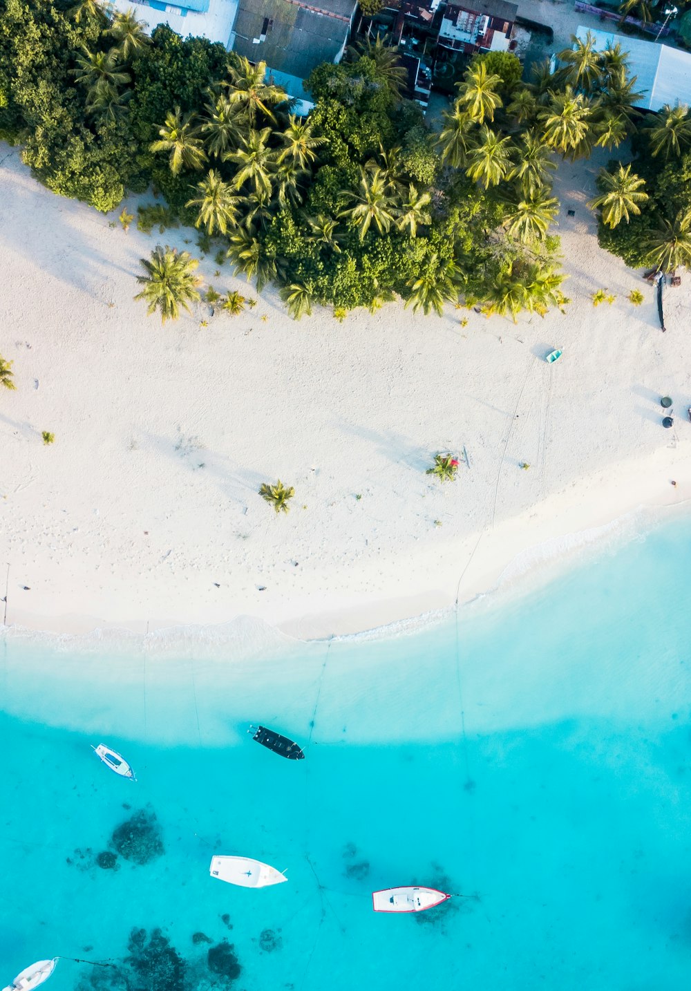 aerial view of beach