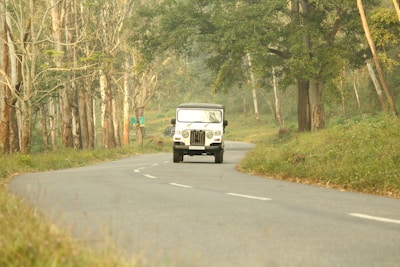 Jeep Willys driving through the misty valley of Cocora with towering wax palms
