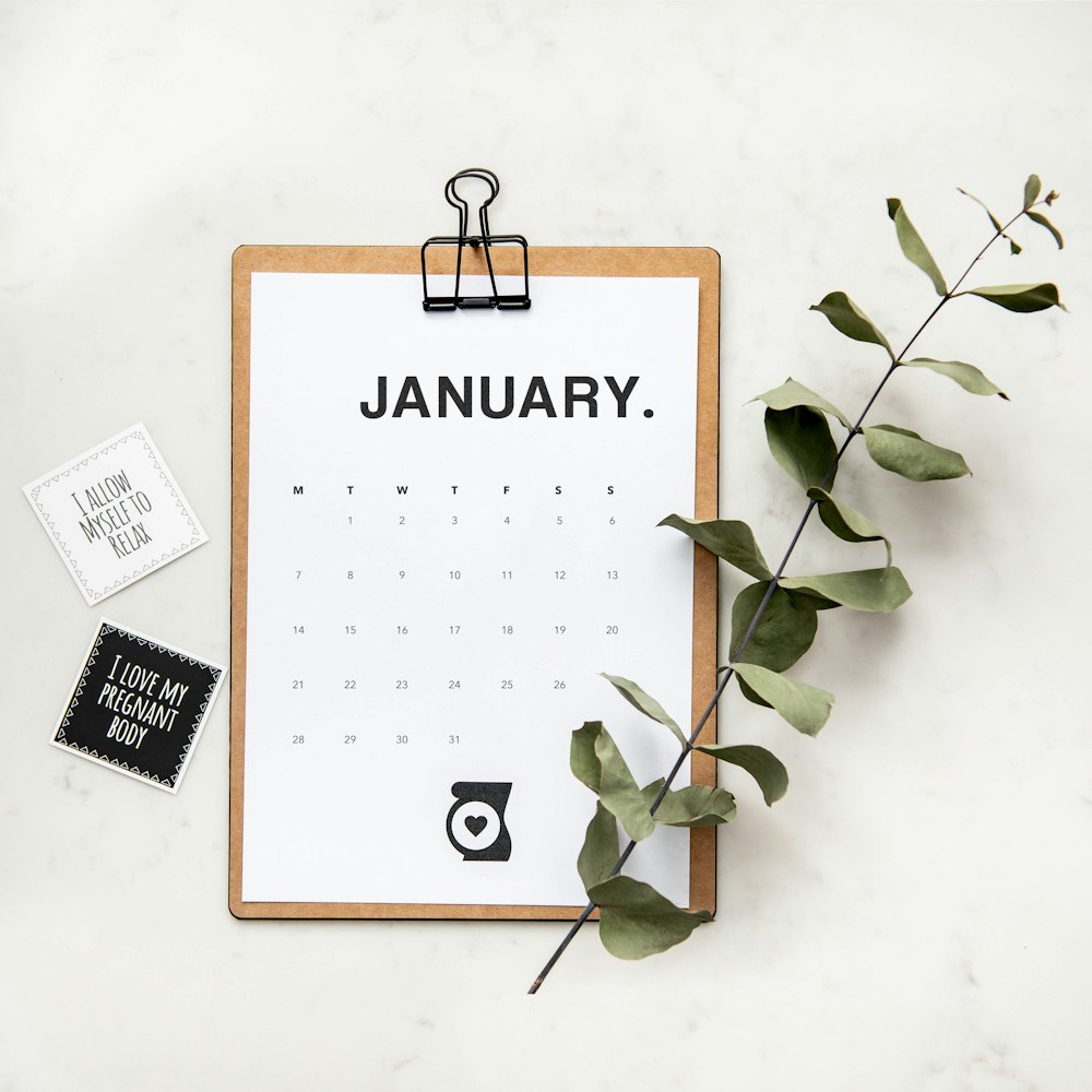 minimalist photography of a calendar wit green leaves