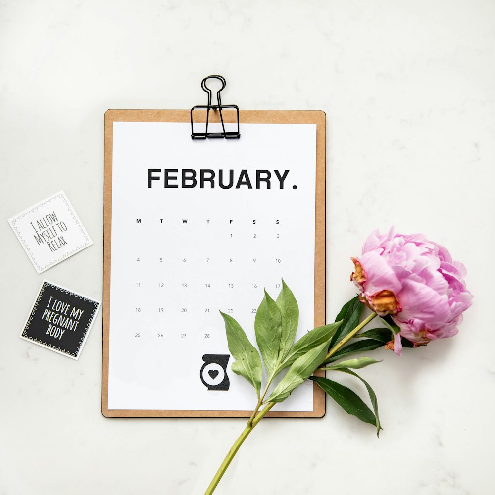 fotografia minimalista di un calendario e di un fiore dai petali rosa