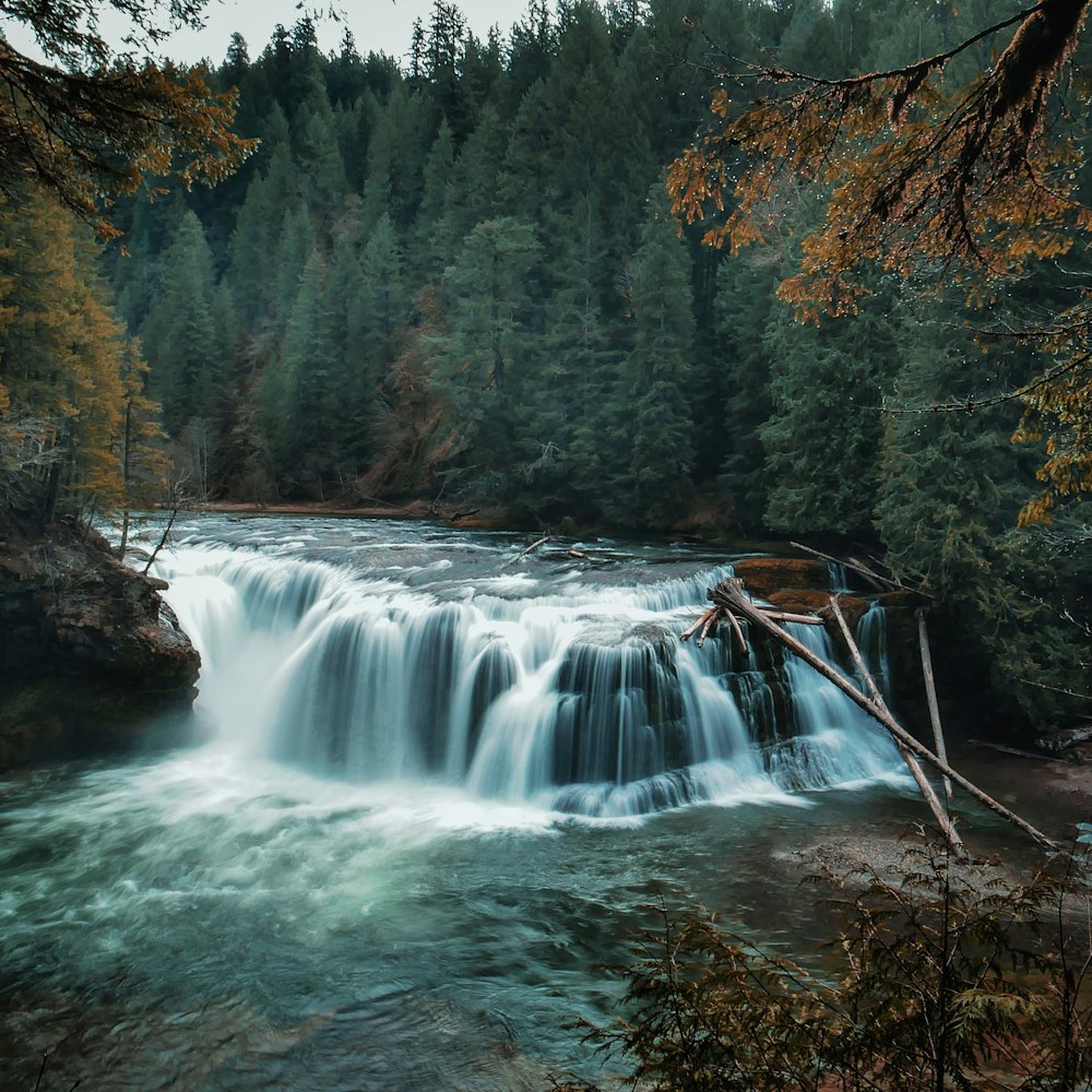 photography of river during daytime