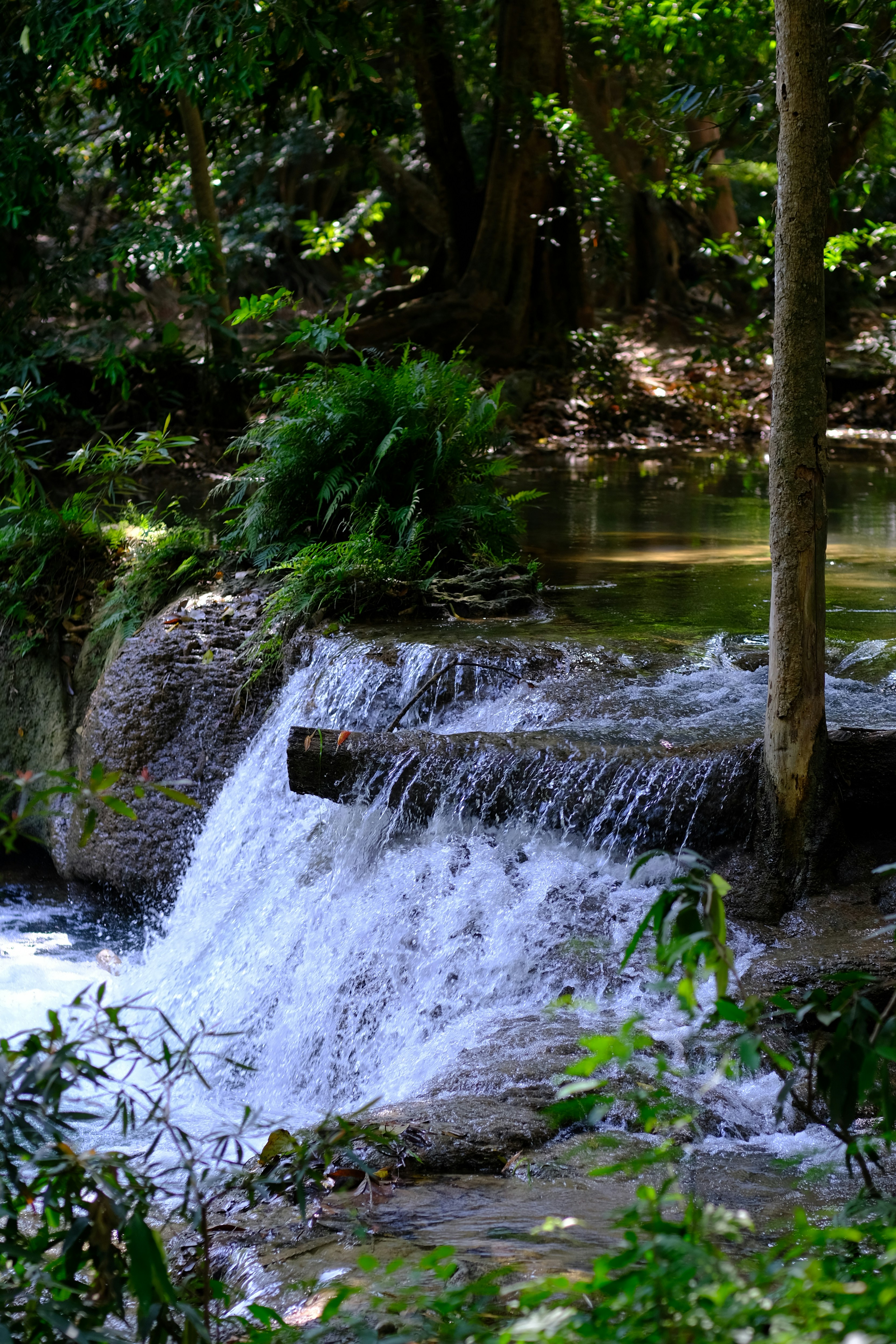 Photo by potofgold07