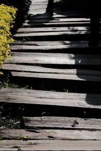 A pathway constructed of uneven wooden planks, leading into a shadowy area. Bright sunlight casts strong shadows, and the path is bordered by lush, yellow-green foliage on one side. The scene includes the lower parts of a person walking along the pathway, adding a sense of movement.