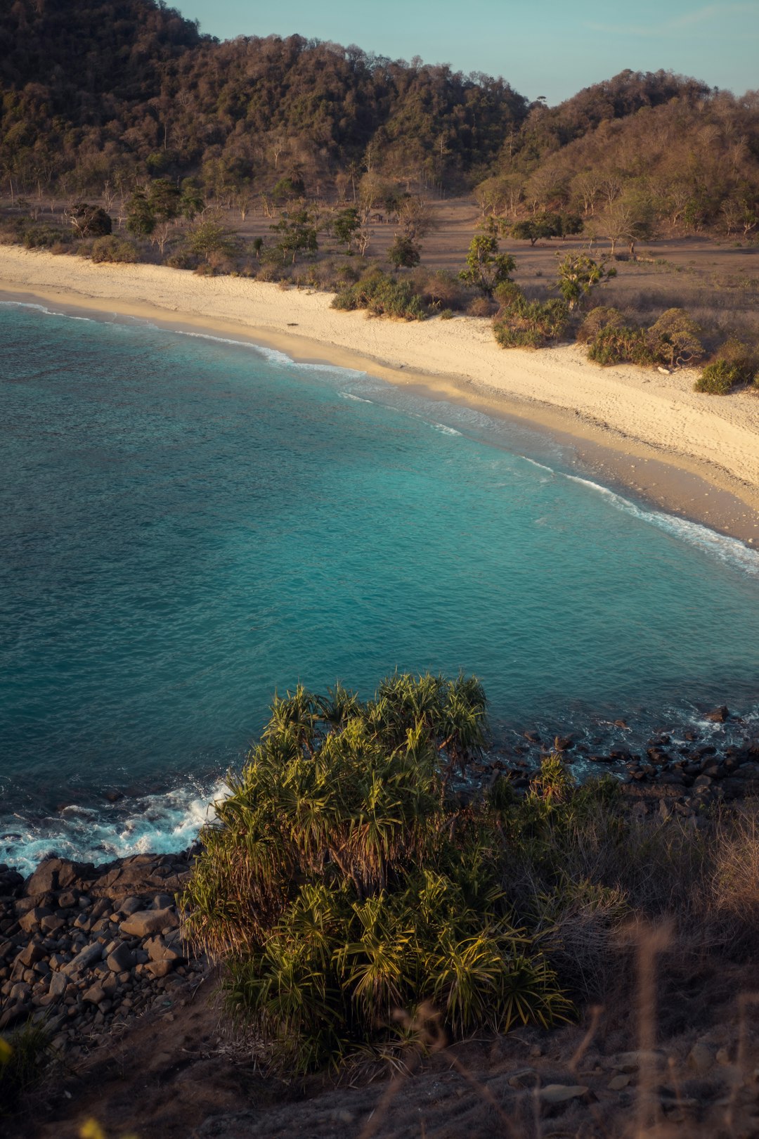 bird's-eye view of beach at daytime