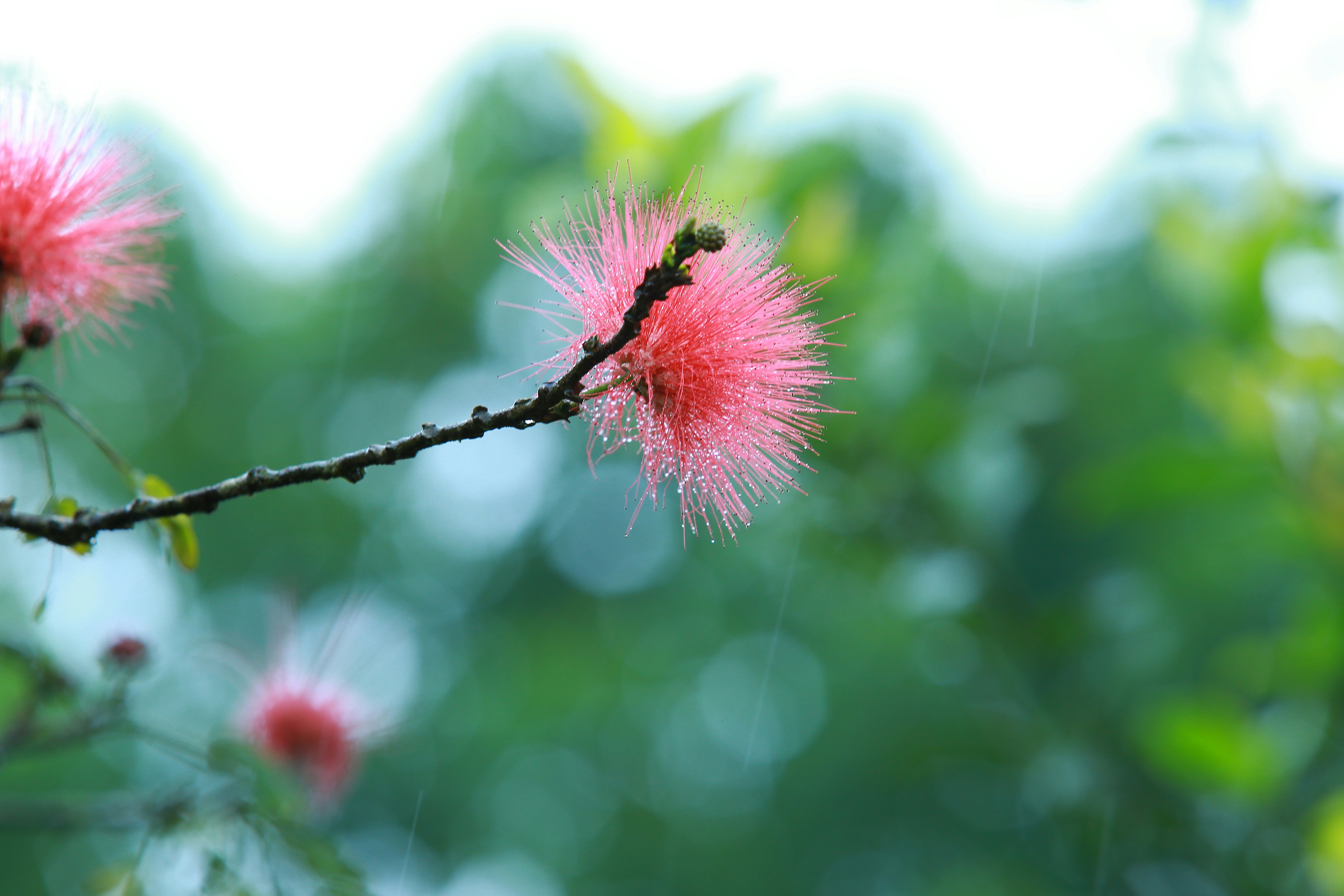 Photo by wilsanphotography