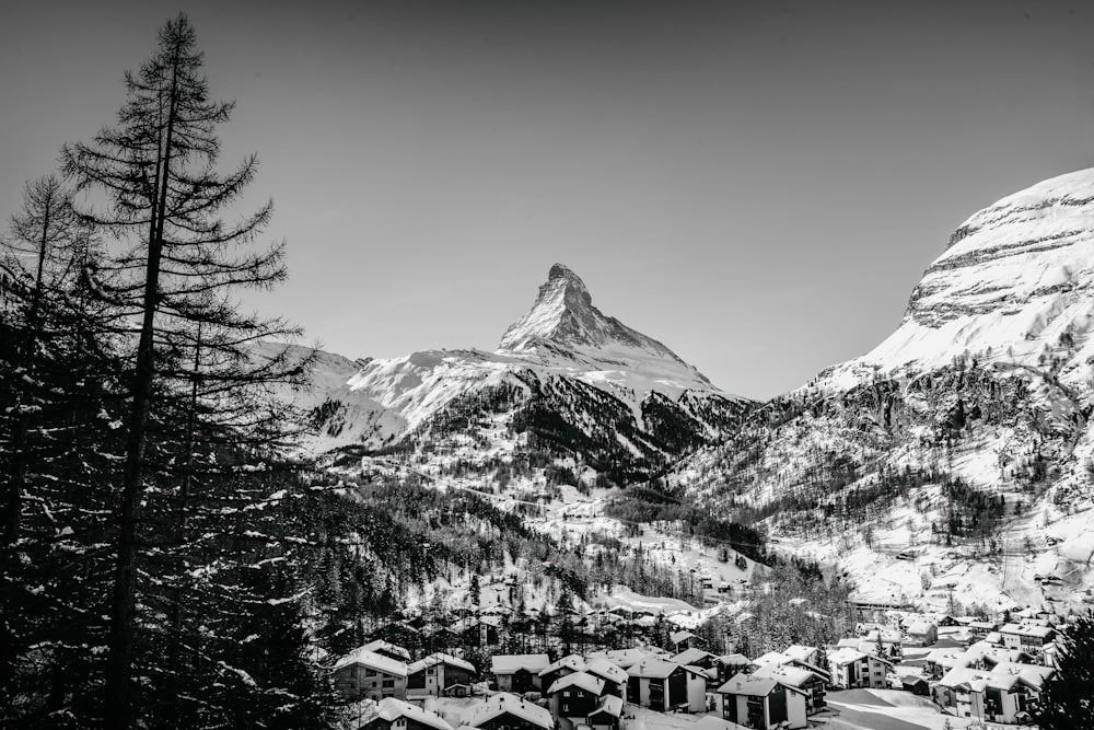 greyscale photography of trees and villages