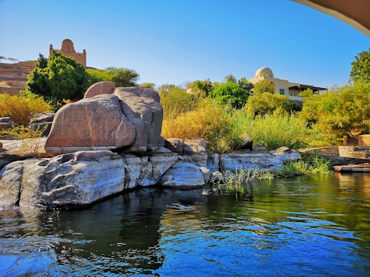 green grass beside calm body of water in Aswan Egypt