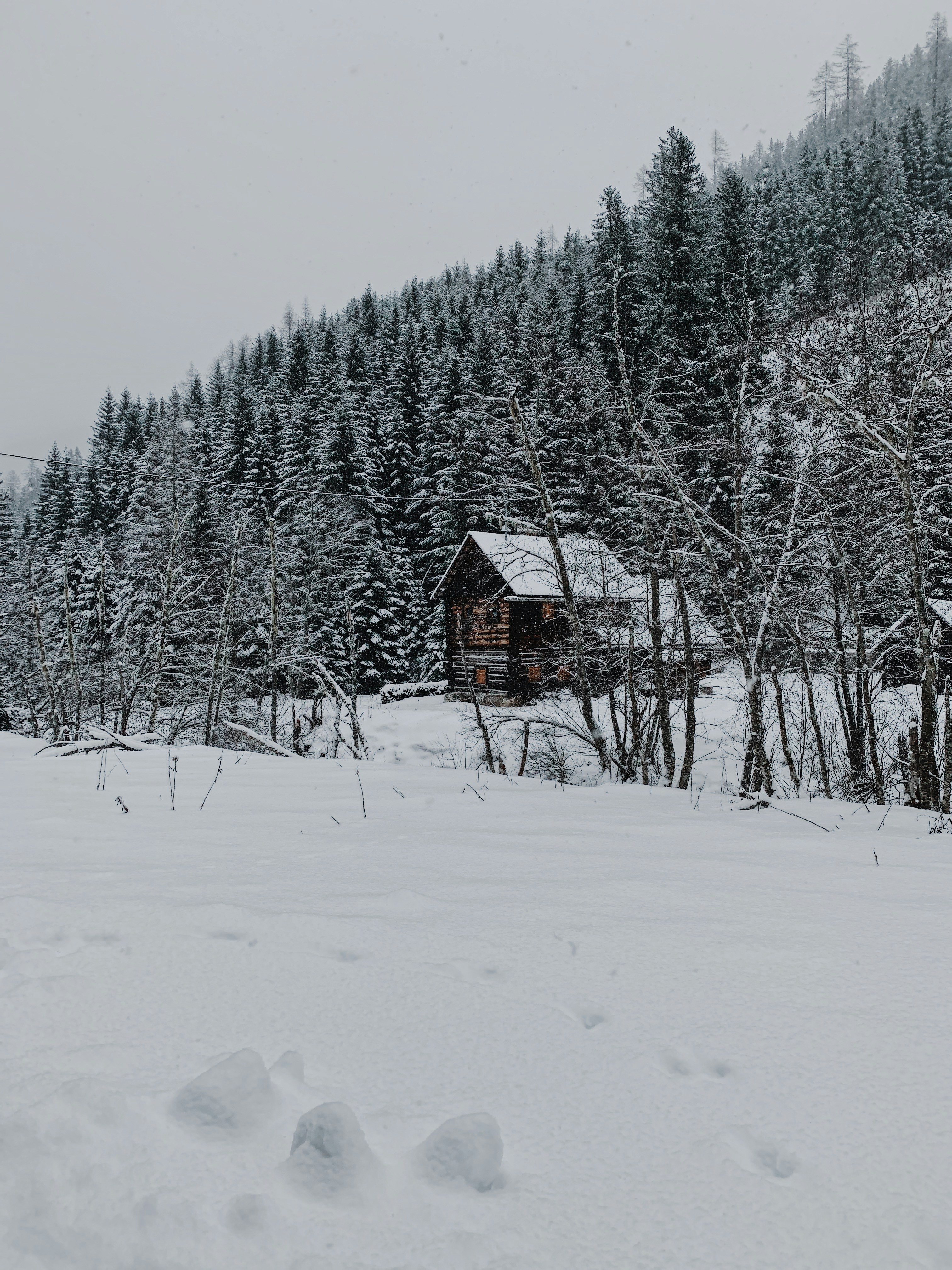 Photo by firlefanzski