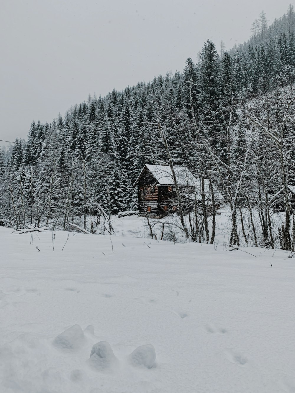 a cabin in the middle of a snowy forest