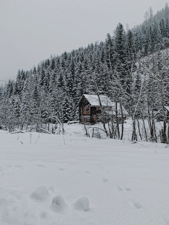 Turracher Höhe things to do in Spittal an der Drau