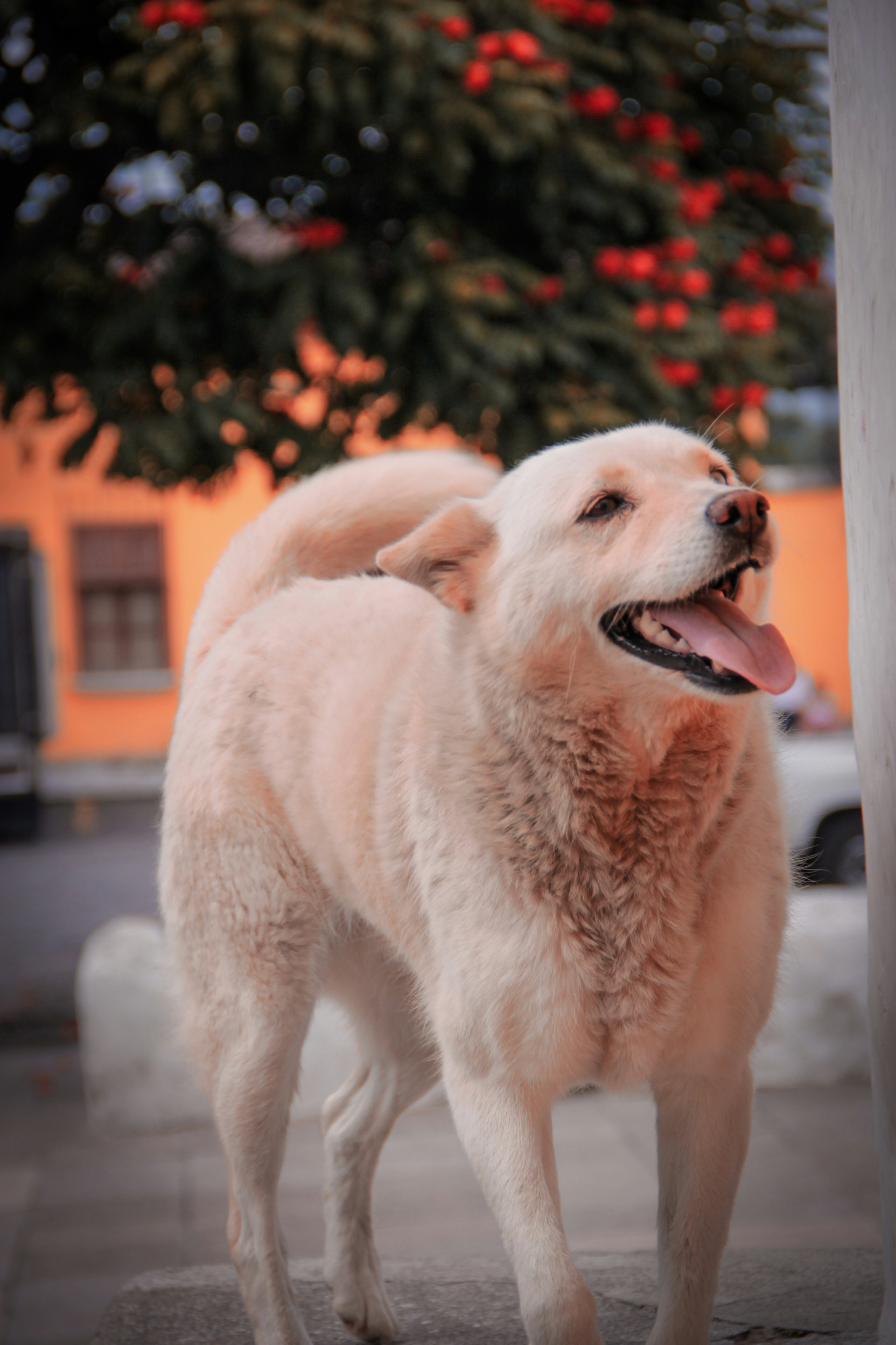 Photo by natalialara