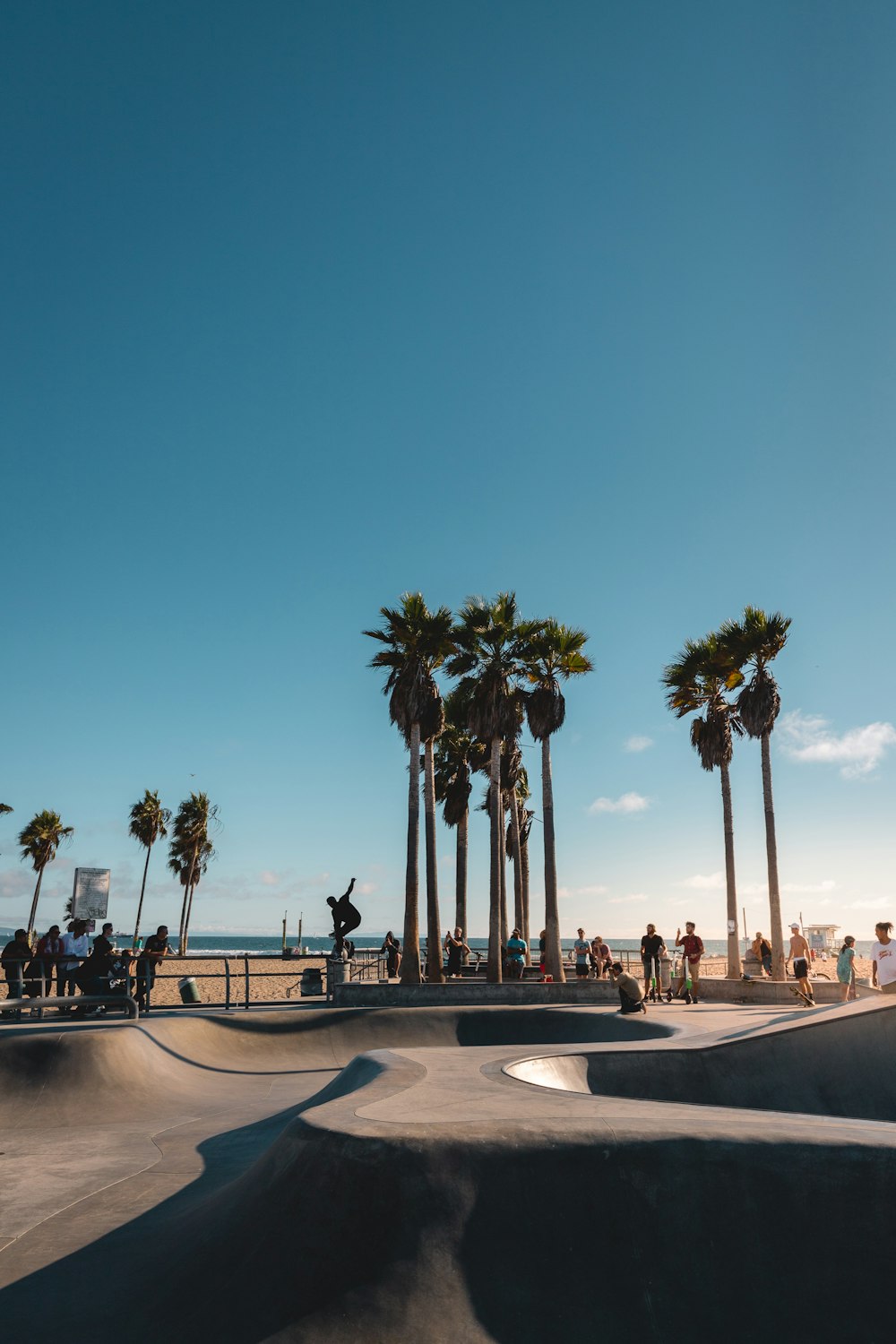 people standing beside trees during daytime