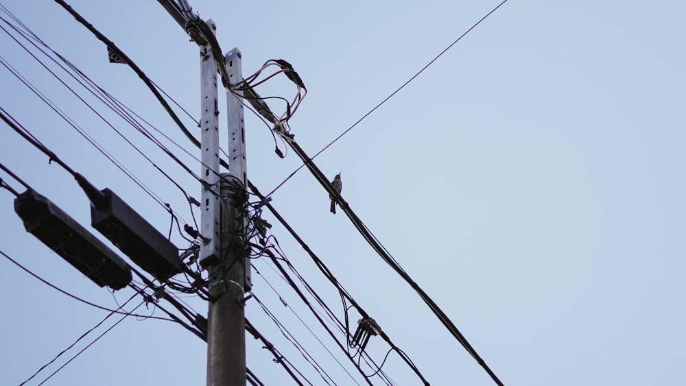 grey utility post during daytime