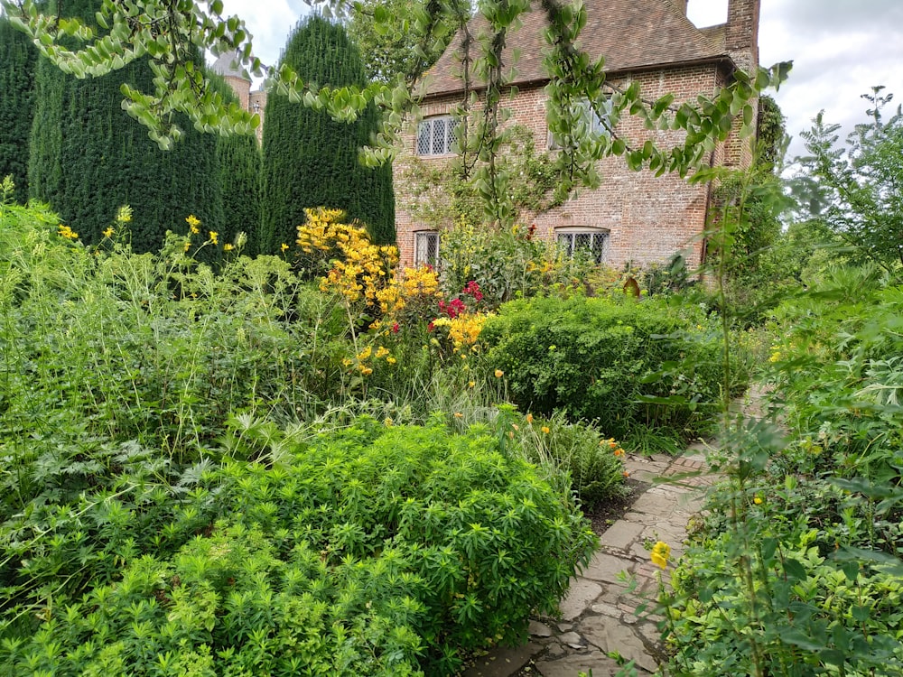 green plants and brown house