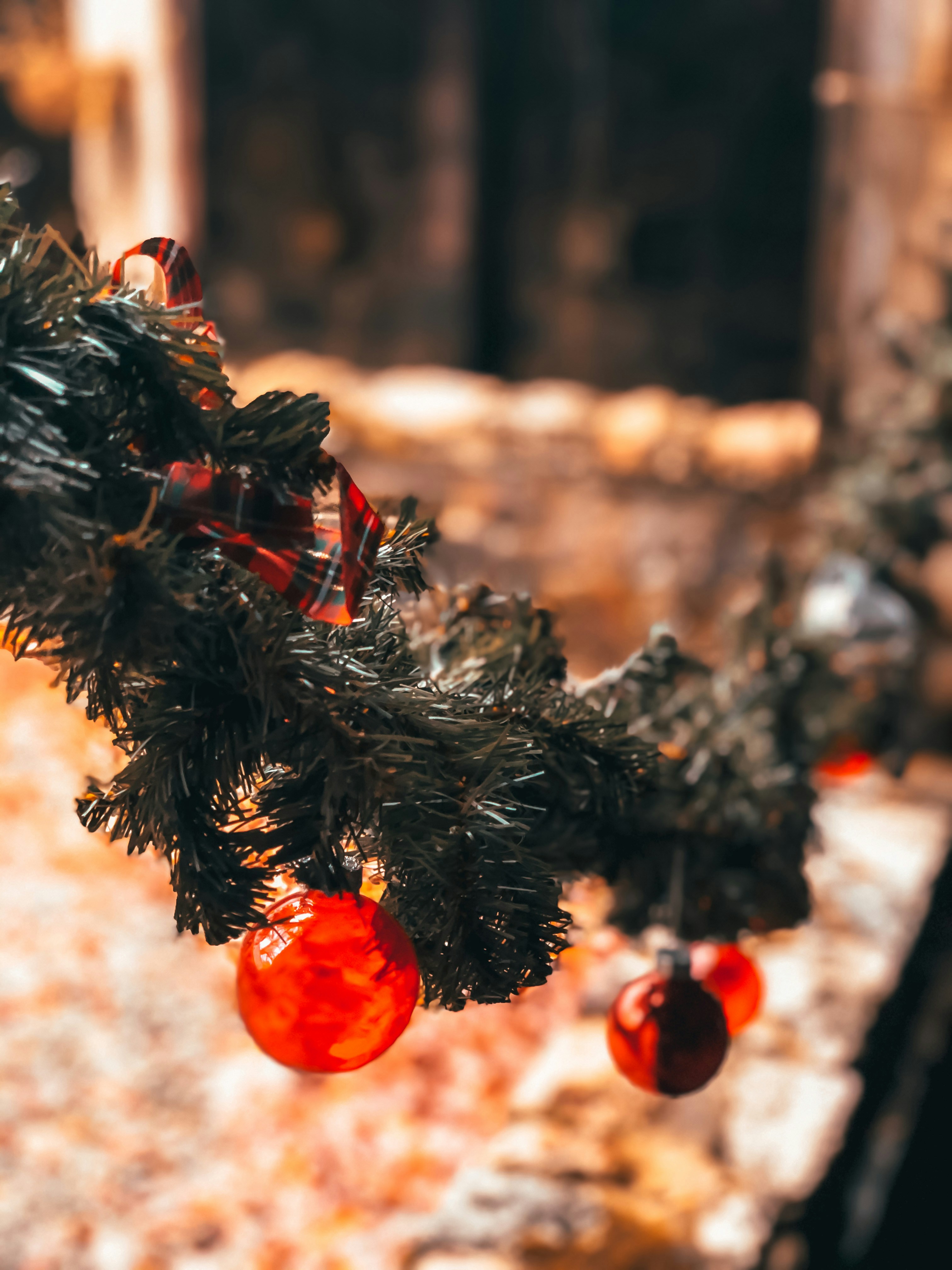 Photo by mihaidogaru