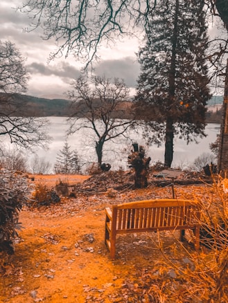 A serene landscape featuring a wooden bench facing a calm lake surrounded by trees. The scene is framed by large, leafless branches, creating a peaceful and reflective atmosphere. The foliage and path are covered in autumn leaves, contributing to a warm, earthy palette.