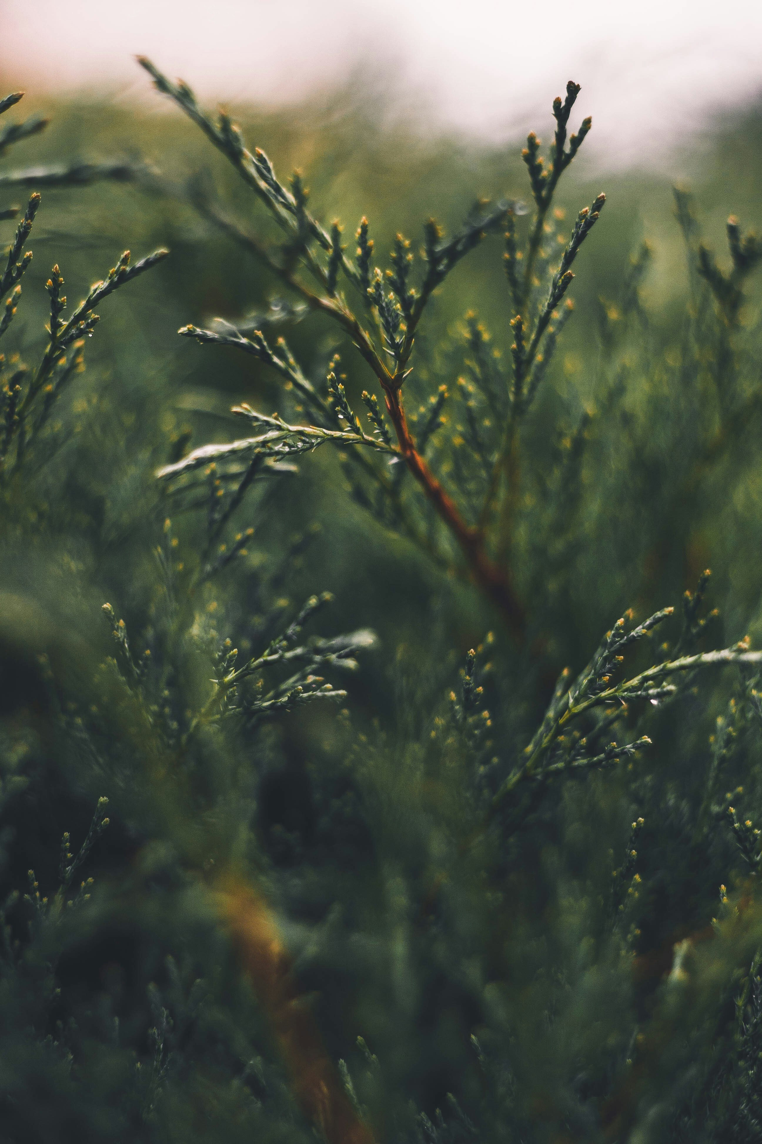 Photo by egorvitalich_8