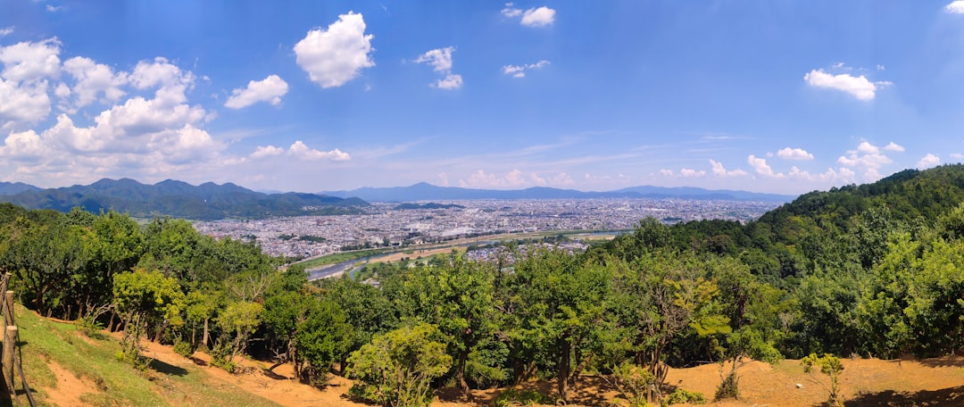 Hill station photo spot Arashiyama Monkey Park Iwatayama Japan