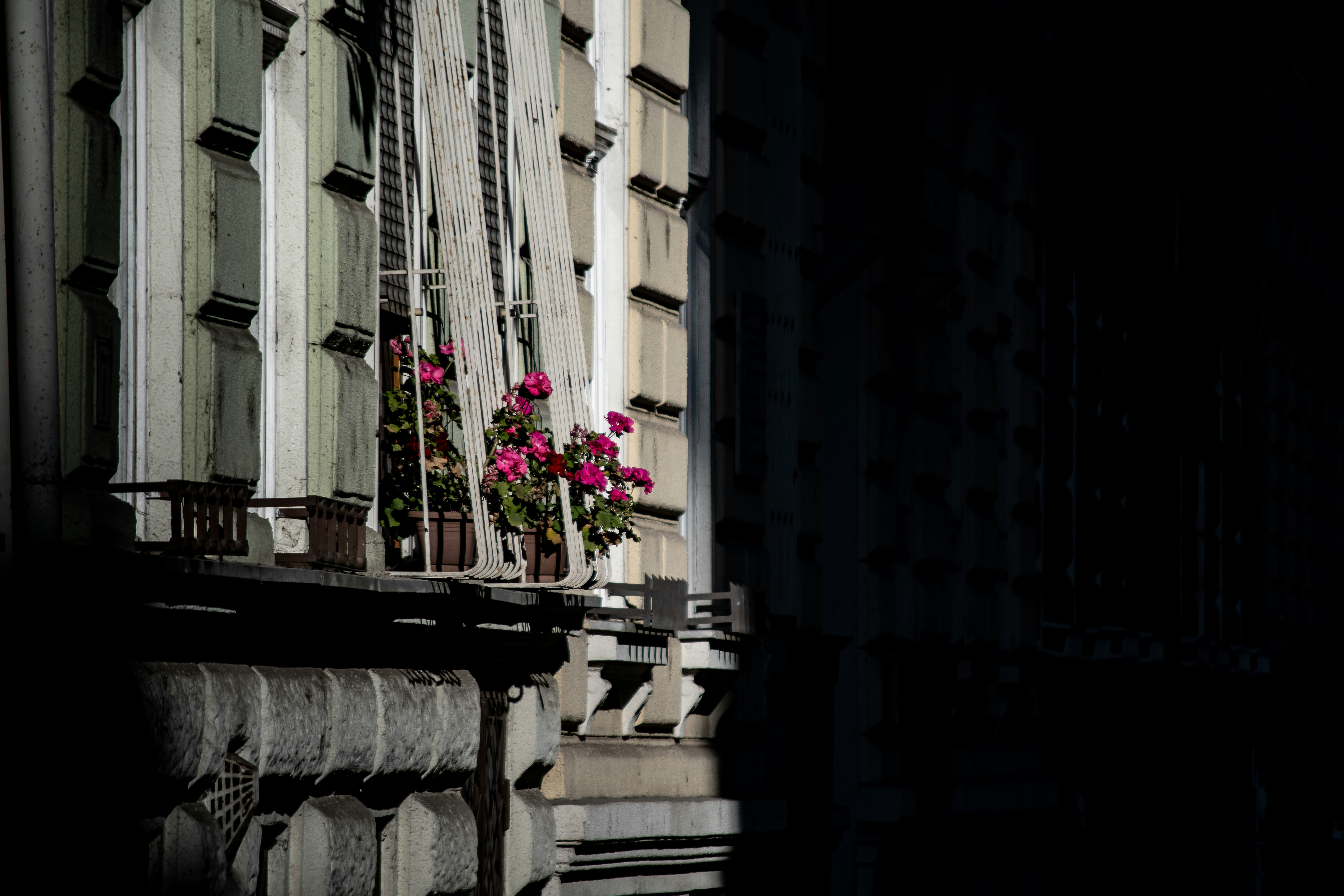 Photo by elcarito