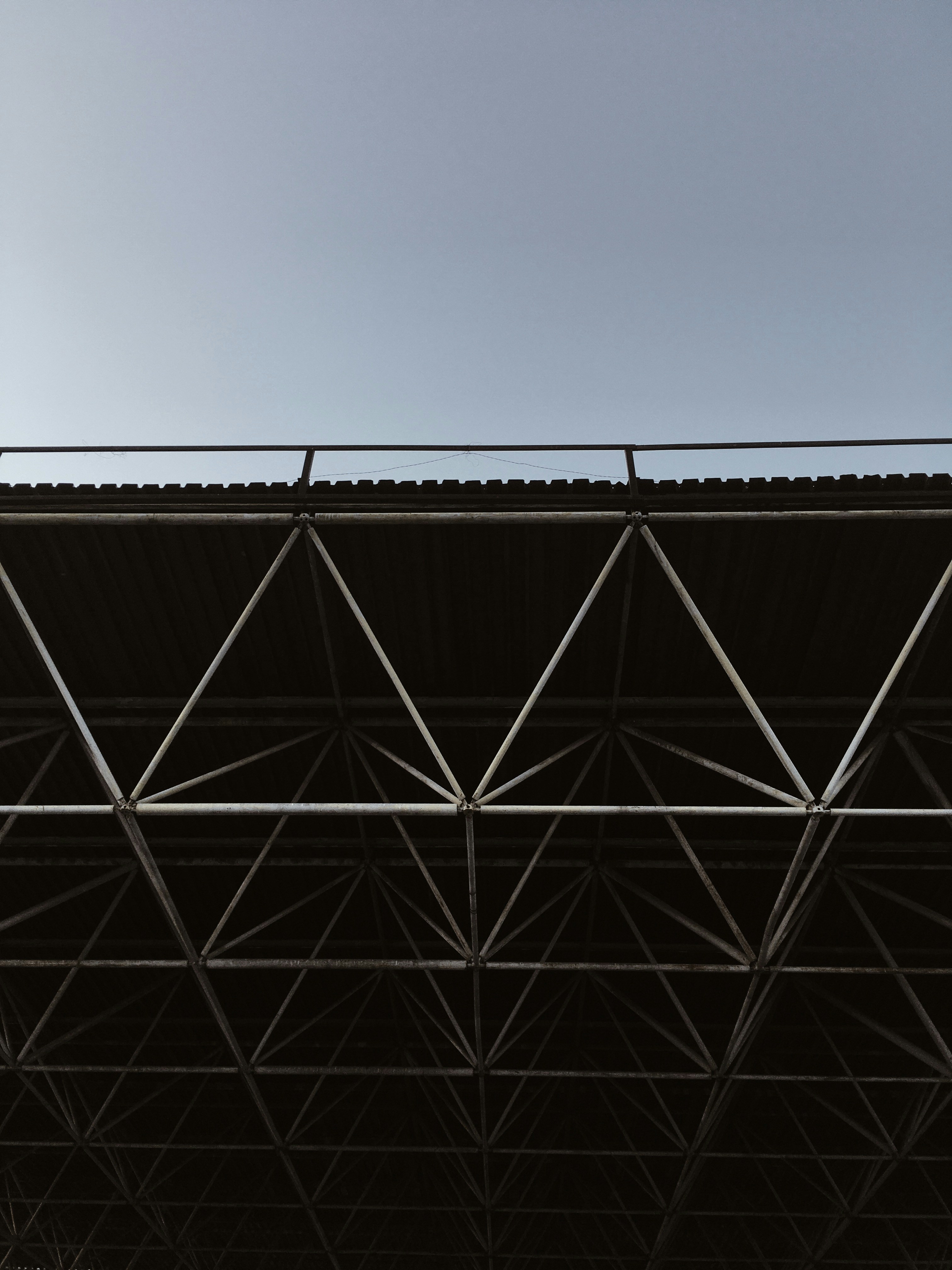 Photo by zhdanovdmitry