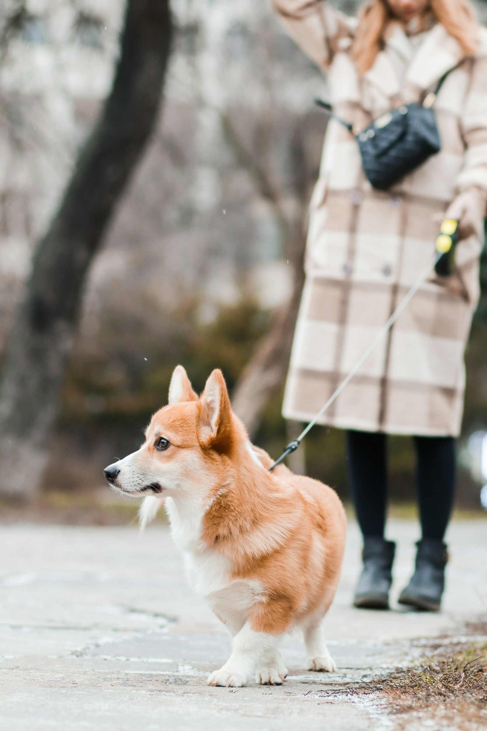 Canon EOS M50 (EOS Kiss M) + Canon EF 85mm F1.8 USM sample photo. Woman holding dog's leash photography