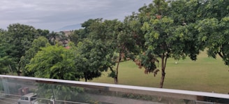 A lush, green landscape featuring several large trees with dense foliage overlooking a manicured lawn. In the background, there are more trees creating a layered effect, with a hint of mountains visible under a cloudy sky. A transparent barrier suggests a viewpoint from a balcony or terrace, and a white car is parked on a road beneath.