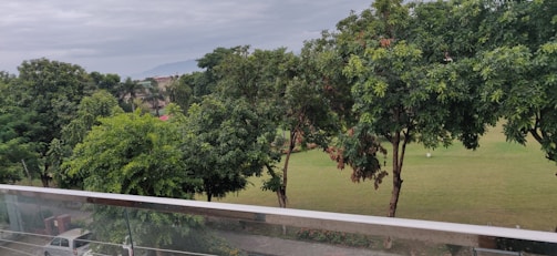 A lush, green landscape featuring several large trees with dense foliage overlooking a manicured lawn. In the background, there are more trees creating a layered effect, with a hint of mountains visible under a cloudy sky. A transparent barrier suggests a viewpoint from a balcony or terrace, and a white car is parked on a road beneath.