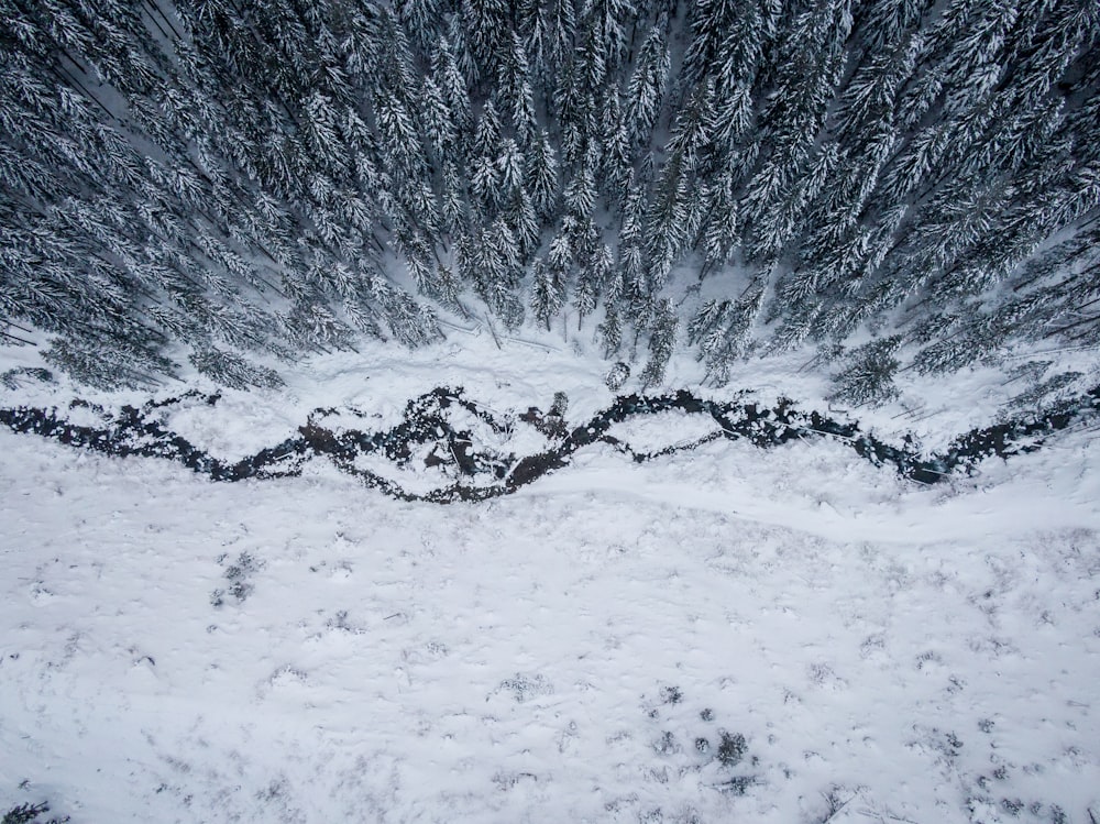 an aerial view of a snow covered forest