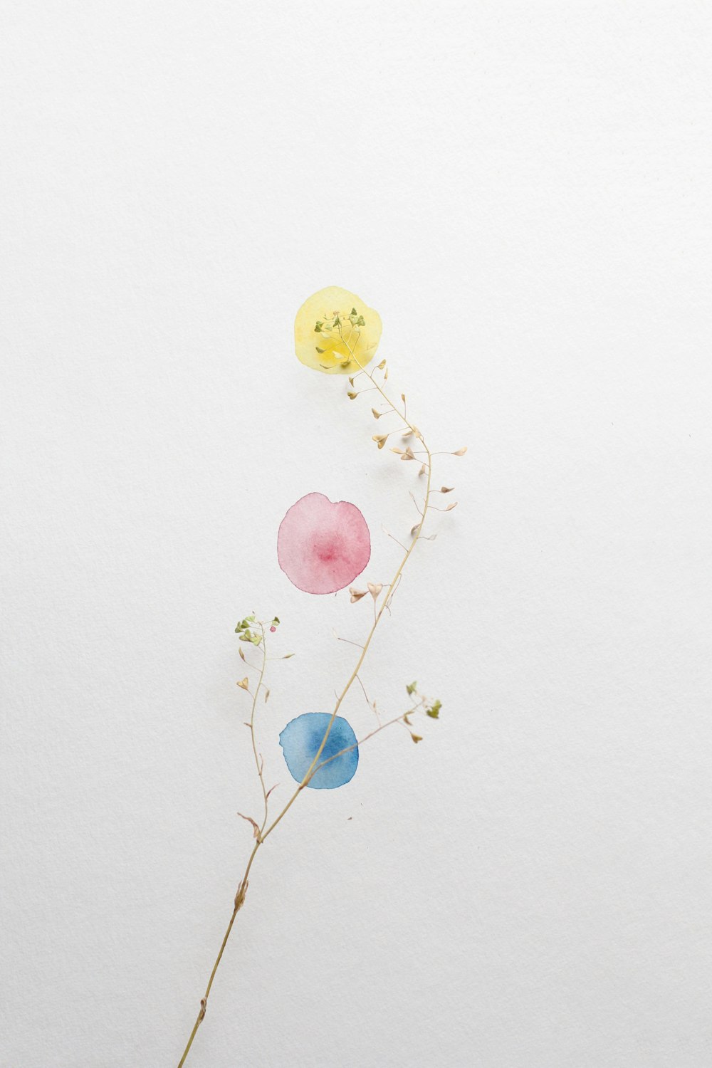 a watercolor painting of a flower and a balloon