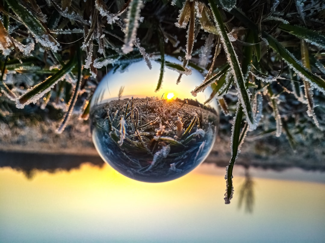 lensball on grass