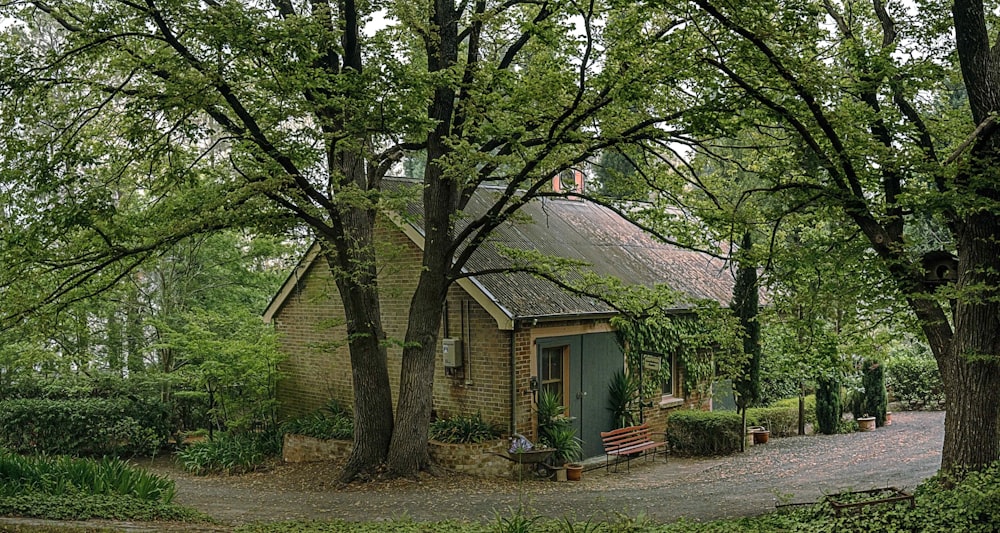 house under tree