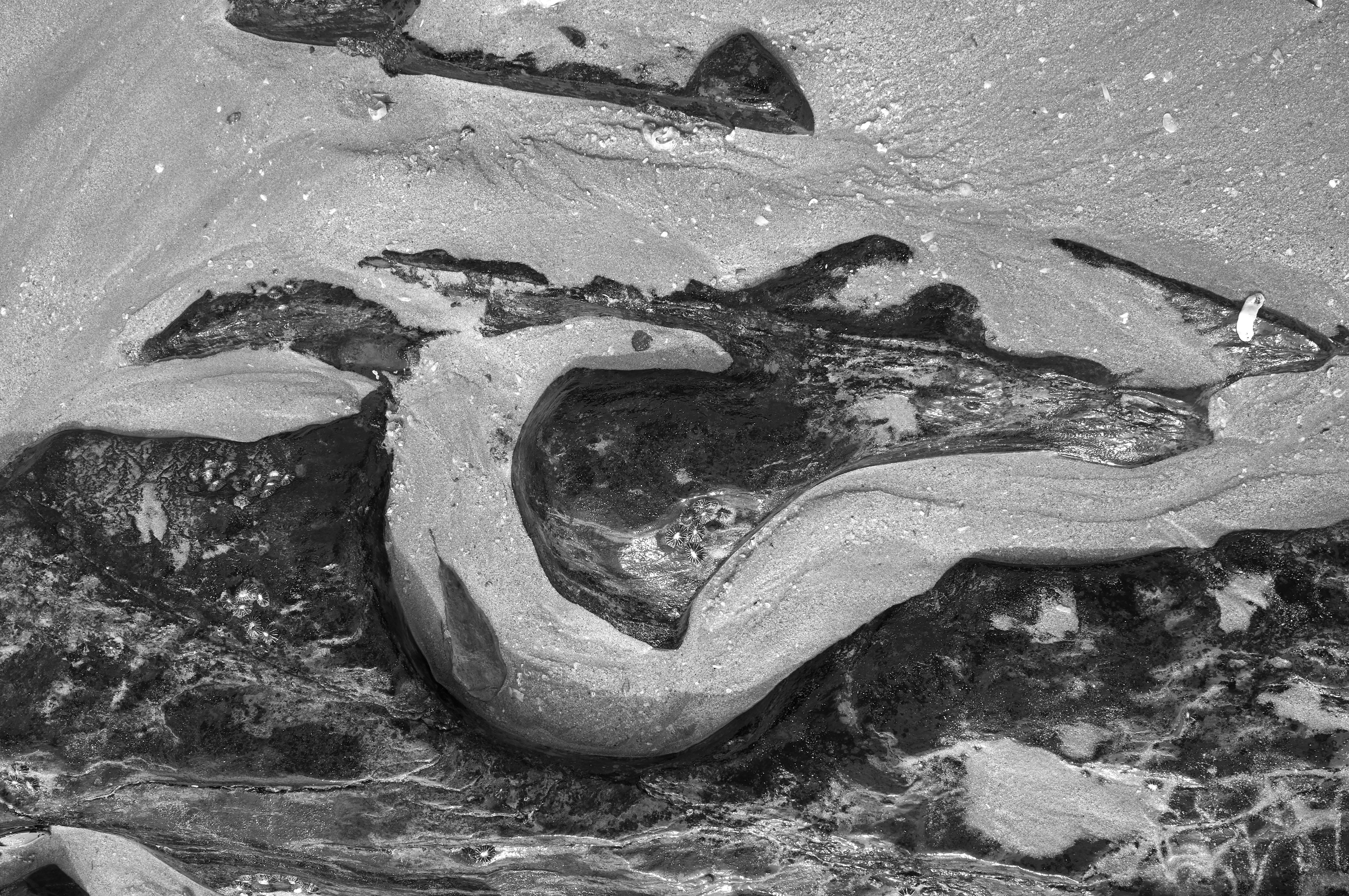 Photo by wolfgang_hasselmann