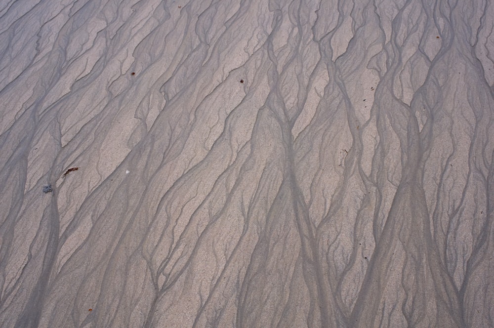 a sandy beach covered in lots of sand