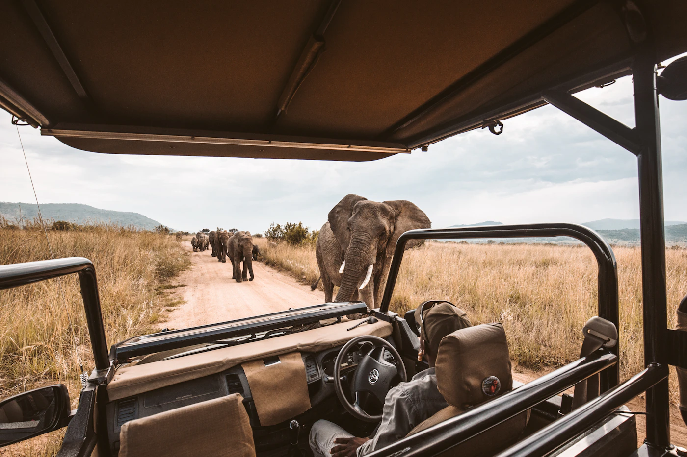 Elephants moving along a red-dust track, the ochre stain Tsavo is named for