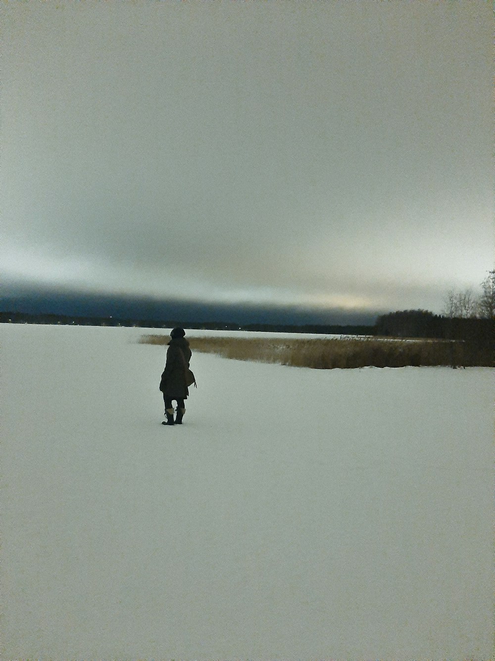 person standing on snow covered field