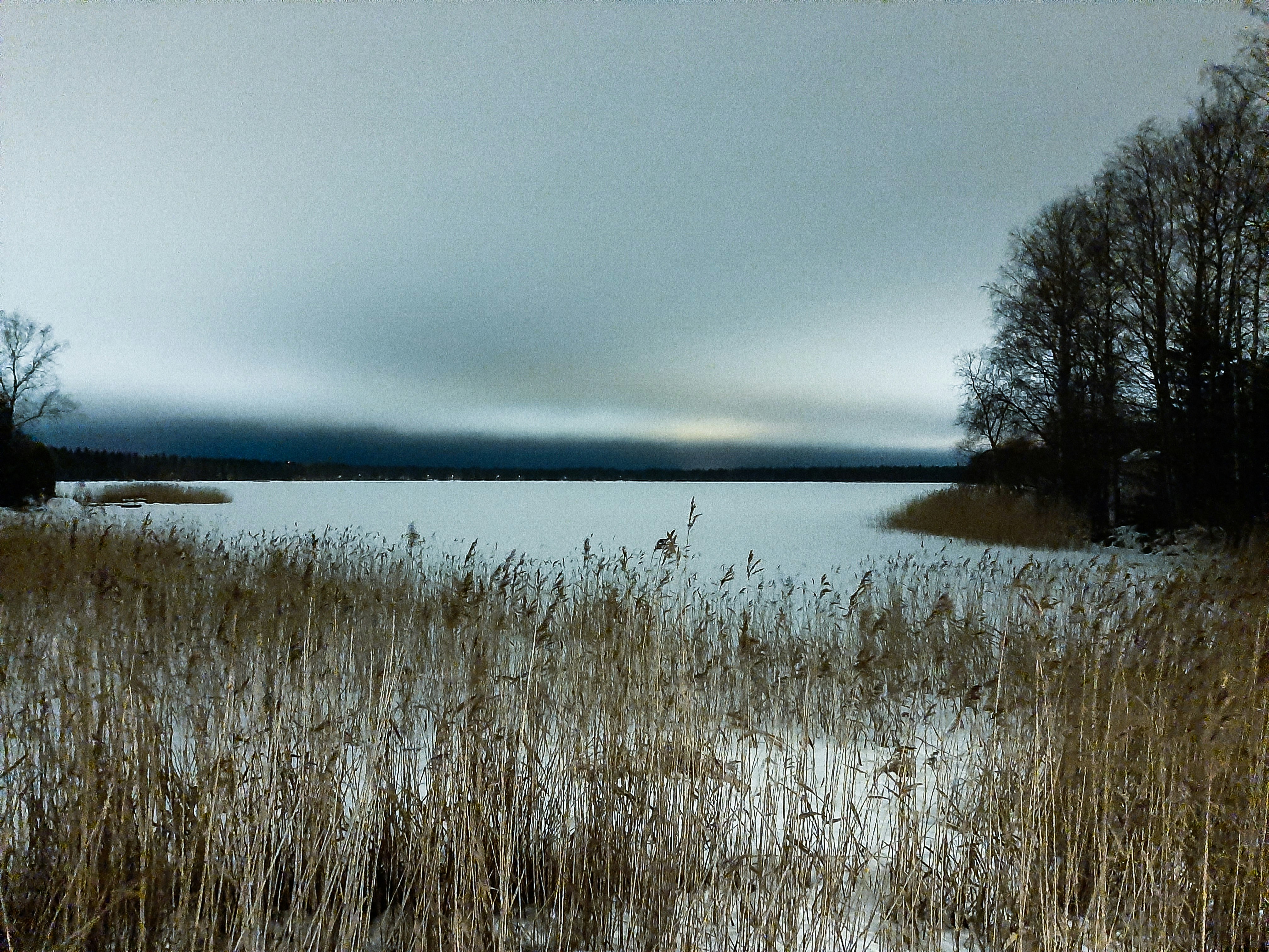 Photo by anantiscrawling