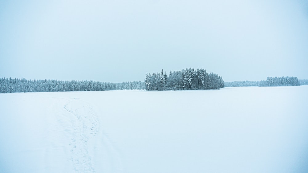 white snow field