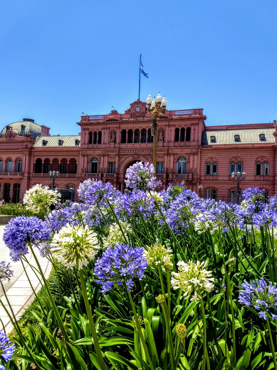 Travel Tips and Stories of Plaza de Mayo in Argentina